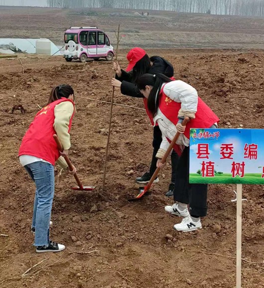 QQ图片20210318175421.png